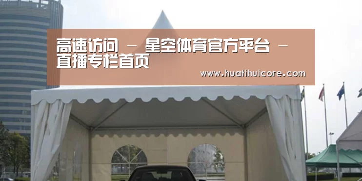 案例标题八